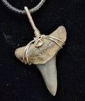 Lemon Shark Wire Wrapped Pendant