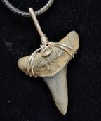 Lemon Shark Wire Wrapped Pendant