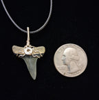 Lemon Shark Wire Wrapped Pendant