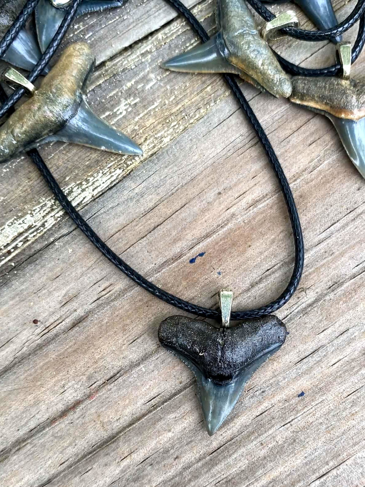 Bull Shark Tooth Pendant