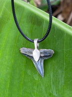 Lemon Shark Tooth Pendant